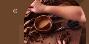 데일리시가-브로슈어